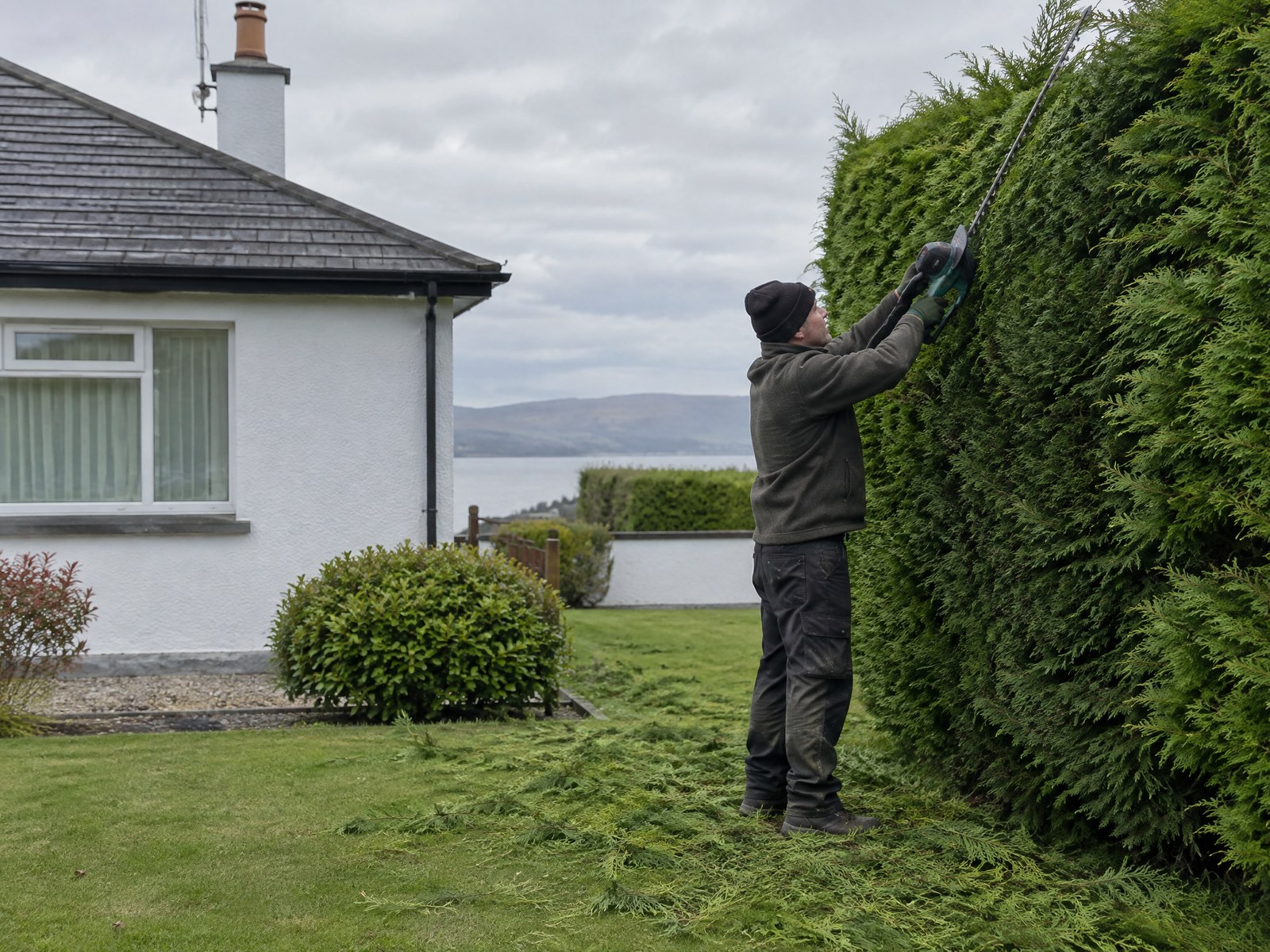 Neatly trimmed hedge at a Northern Ireland home